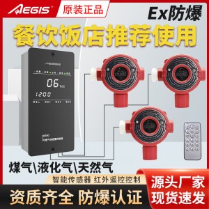 工业及商业用途点型气体检测仪GTYQ-E510燃气报警器